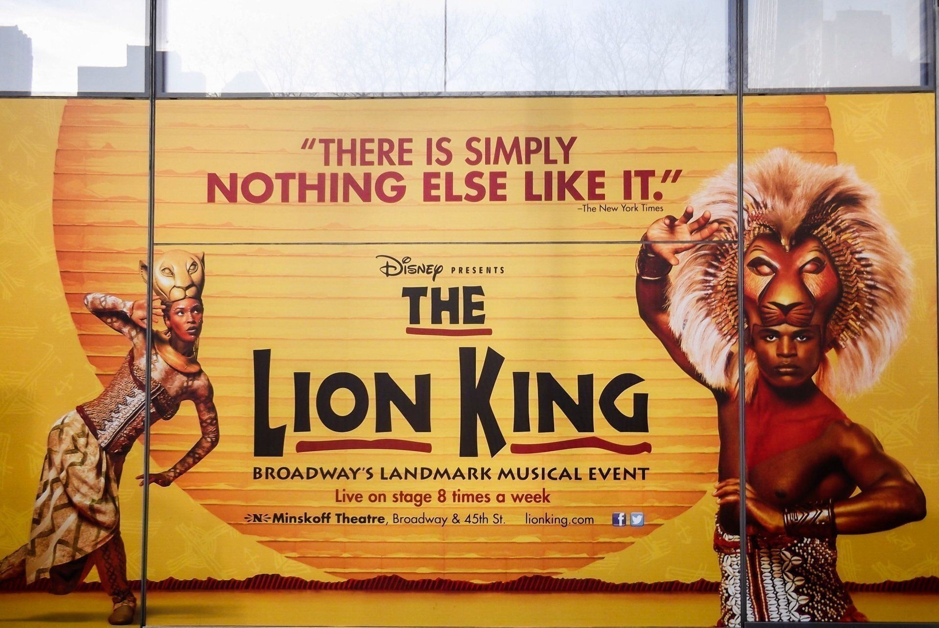the lion king comedie musicale